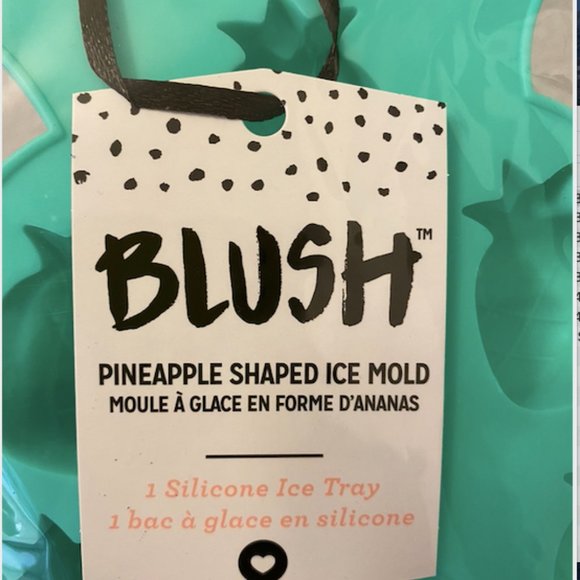 Blush Ice tray making pineapple cubes - Picture 2 of 8